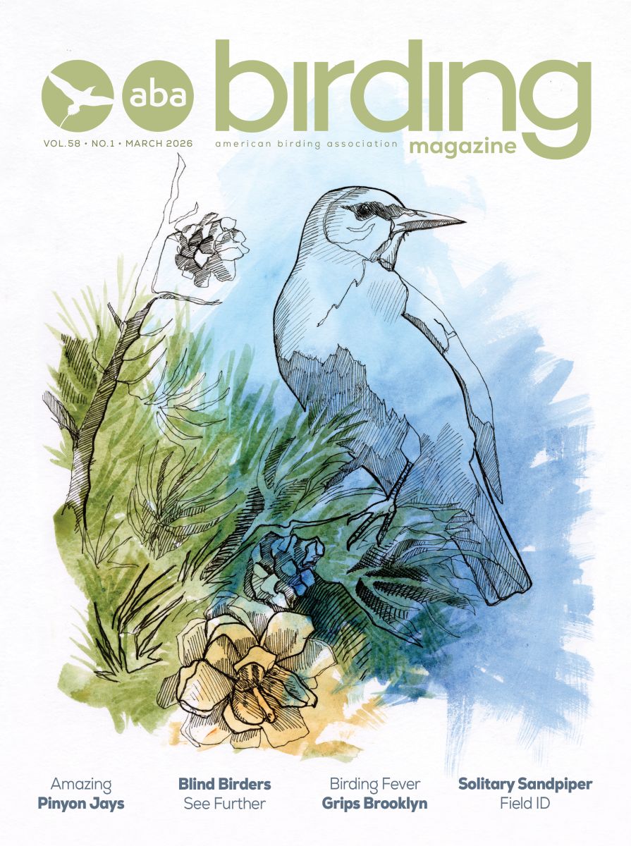 Birding%2026-1_01%20cover-R3.jpg